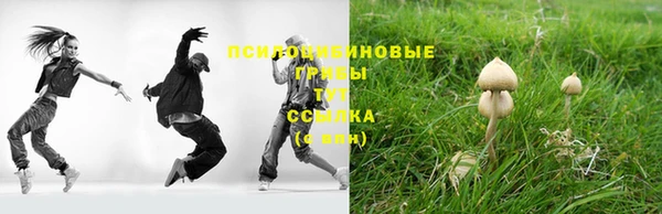 кокс Баксан